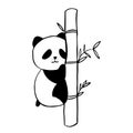 Panda sits on a tree