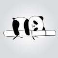 Panda sleeping above a Bamboo Trunk