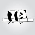 Panda sleeping above a Bamboo Trunk Royalty Free Stock Photo