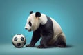 Panda with a Soccer Ball (football) on Blue Background, Generative AI