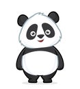 Panda standing