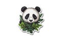 Panda Sticker On White Background. Generative AI