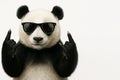 A panda in sunglasses shows a rock gesture. Space for text. Royalty Free Stock Photo