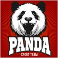 Panda. Template for Pandas sport team logo.