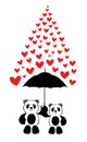 Panda bears holding umbrella, vector