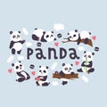 Panda vector bearcat chinese bear with bamboo in love playing or sleeping illustration backdrop of giant panda eating