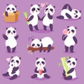 Panda vector bearcat or chinese bear with bamboo in love playing or sleeping illustration set of giant panda reading