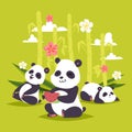 Panda vector bearcat chinese bear with bamboo playing or sleeping illustration backdrop of giant panda eating watermelon