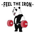 Panda weightlifter Royalty Free Stock Photo