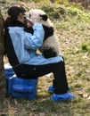 Panda and woman breeder in the park,chengdu,china