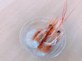 Pandalus borealis or Coldwater shrimp or Pink shrimp or Deepwater shrimp or Sweet shrimp or Amaebi or Akaebi in Japan.