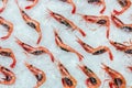 Pandalus borealis prawns lie on ice in the store or in the kitchen of a restaurant