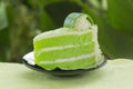 Pandan cake