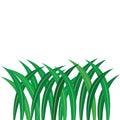Pandan leaf illustration icon free
