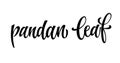 Pandan leaf- vector hand drawn calligraphy style lettering word.