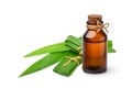 Pandan screwpine essential oil Royalty Free Stock Photo