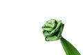 Pandanus folded into roses. Royalty Free Stock Photo