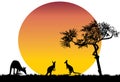 Silhouette of a pandanus tree, moon and kangaroo