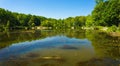 Pandapas Pond located in Giles County, Virginia, USA Royalty Free Stock Photo