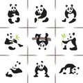 Pandas