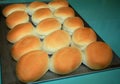 Pandesal freshly baked from the oven Royalty Free Stock Photo