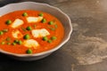 Paneer Butter masala with mutter Indian Curry Royalty Free Stock Photo