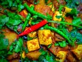Paneer massala looking spicy Royalty Free Stock Photo