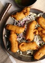 Paneer Pakoda - a snack from Rajasthan Royalty Free Stock Photo