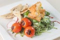 Paneer salad with green leaves and chapati