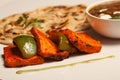 Paneer Tikka Kebab from India Royalty Free Stock Photo