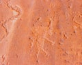 Panel of Ancient Native American Petroglyphs at The White Cliffs Royalty Free Stock Photo