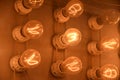 Panel of Filaments Glowing inside a Bunch of Lightbulbs