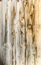 panel wood planks texture background