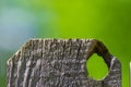 A panel of wooden fence with blurry green trees bokeh in background Royalty Free Stock Photo