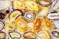 Panel of yellow agate slices with backlight. Cross section of quartz stone Royalty Free Stock Photo