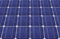 Panels of blue solar cells