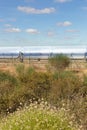 Panels of solar thermal power plant Royalty Free Stock Photo