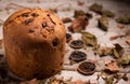 Panettone. Italian traditional christmas