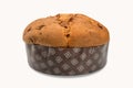 Panettone with marron glace, italian cake