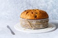 Panettone, typical christmas italian food, on rustic background