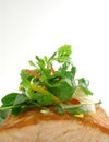 Panfried salmon with salad Royalty Free Stock Photo