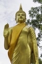 Pang Buddha image style Royalty Free Stock Photo