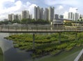 Pang Sua Pond in Bukit Panjang, Singapore Royalty Free Stock Photo