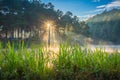 Pang Ung Forestry Plantations, Maehongson Province,Thailand