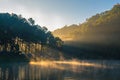 Pang Ung, Lake pine forest park Royalty Free Stock Photo