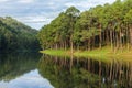 Pang ung lake , pine forest park with reflection of pine in Maehongson,Thailand Royalty Free Stock Photo