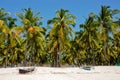 Pangane Beach, Mozambique Royalty Free Stock Photo