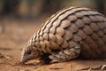 Pangolin - Africa and Asia (Generative AI)