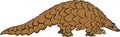 Pangolin animal cartoon illustration