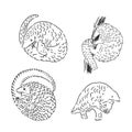 Pangolin animal engraving vector illustration. Scratch board style imitation. Black and white hand drawn image.